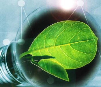 ampoule avec une feuille signe d'écologie