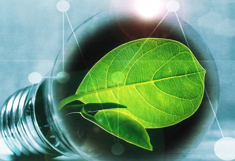 ampoule avec une feuille signe d'écologie